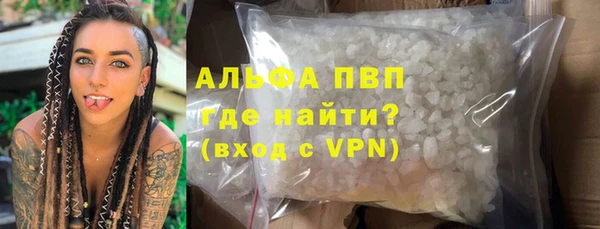 прущие крисы Бородино