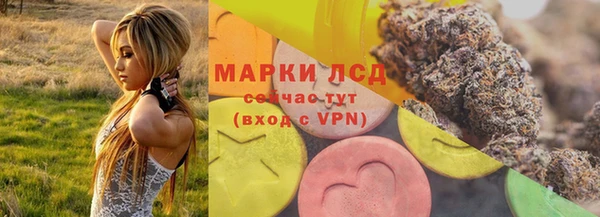 дмт Вяземский