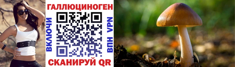 Псилоцибиновые грибы ЛСД mega онион Ивантеевка